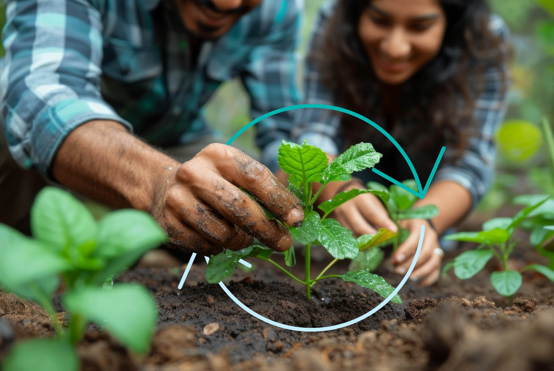 Personas-reforestando